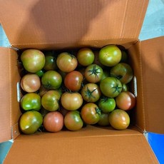 대저 토마토 완숙찰토마토 5.0kg 산지직송-당일배송 완숙찰, 1박스, 대저토마토 5.0kg 랜덤과