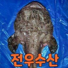 (전우수산) 국내산 생아귀 순살아귀 아귀간 아귀대창 아귀 아구 아구찜 아귀찜, 1개, 생아귀 (1kg)생물