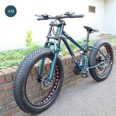[고출력] 펫바이크 팻바이크 산악 자전거, 24인치, 21단, 그린