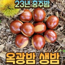 23년 햇밤 옥광밤 충주밤 알밤 생밤 특 대 2kg, 이평밤 2kg(대), 1개