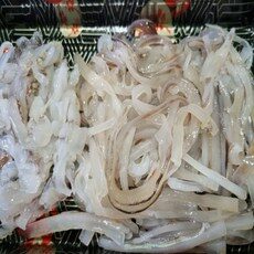 국산 오징어회 포항 산오징어회 활 생물 당일조업 200g+야채