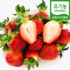  (자연마을) 유기농 합천 육보딸기 1kg 토경재배, 유기농 육보딸기 500g*1팩 